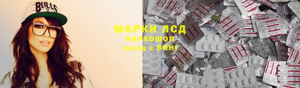 прущий лед Бородино