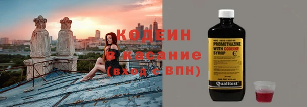 прущий лед Бородино