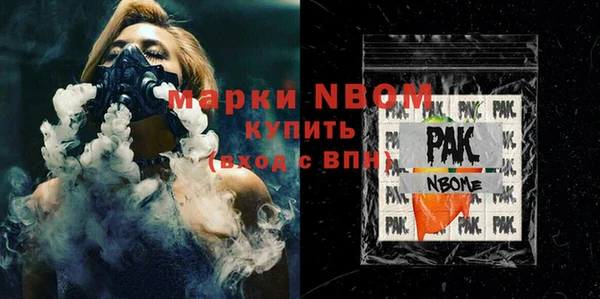 прущий лед Бородино