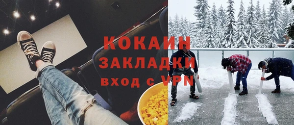 прущий лед Бородино