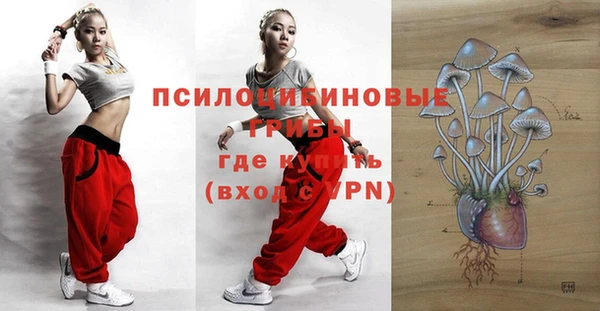 трава Бронницы