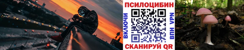 KRAKEN рабочий сайт Новокузнецк Псилоцибиновые грибы мухоморы продажа наркотиков